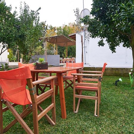 Sunset Studios - Suites With Seaview & Back Side Apartements Τορώνη Εξωτερικό φωτογραφία